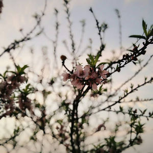 邻居大爷掏出来又粗又长小说
