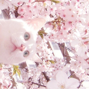 邻居大爷掏出来又粗又长小说
